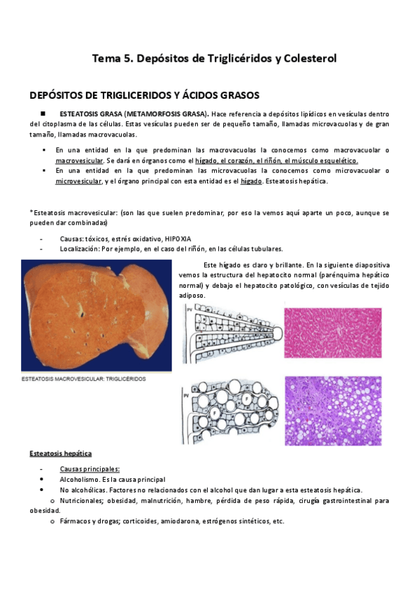Miniatura del documento Tema 5 APatológica.pdf