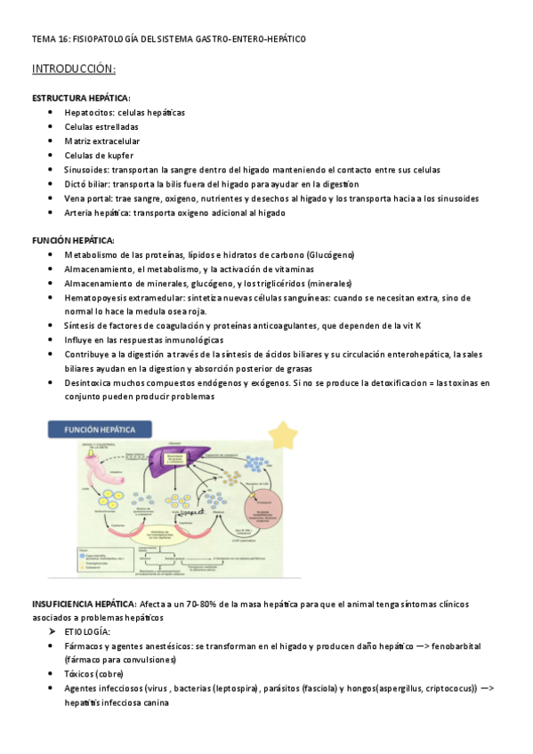 Miniatura del documento TEMA-16-fisiopat-II.pdf