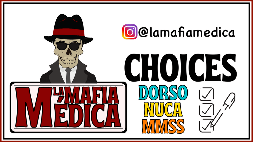 Miniatura del documento 1-CHOICES-PUBLICOS-DORSO-NUCA-MMSS.pdf