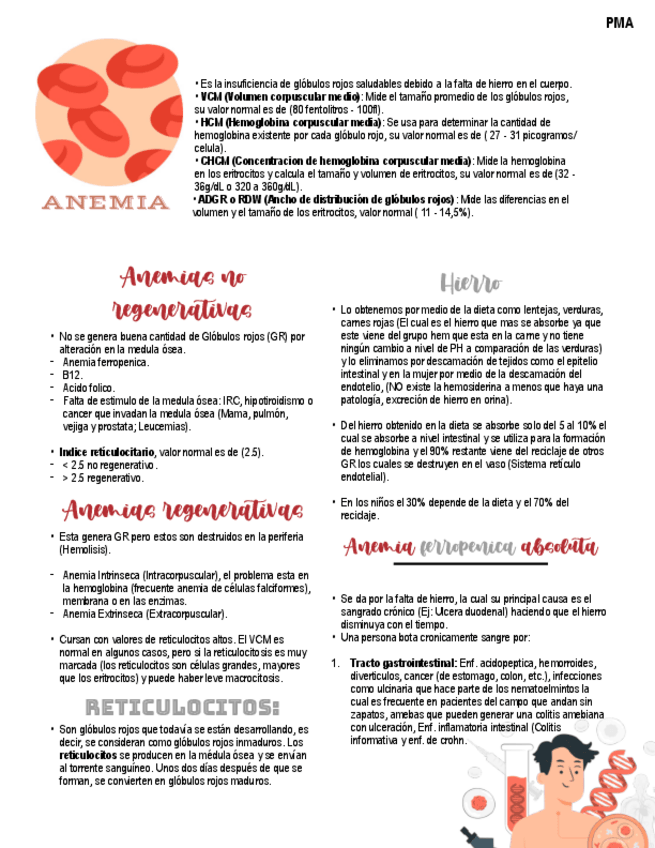 Miniatura del documento Anemia..pdf