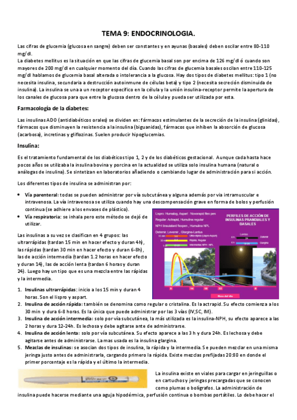 Miniatura del documento TEMA 9 endocrinologia.pdf