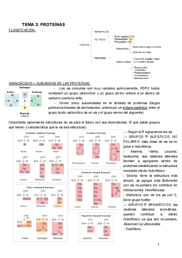Miniatura del documento BIOQUIMICA-TEMA-3.pdf