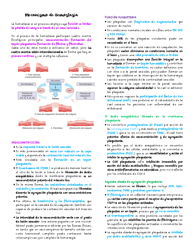 Miniatura del documento 10.-Mecanismo-de-Hemostasia.pdf