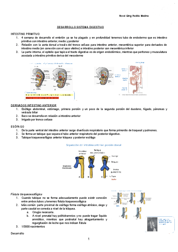 Miniatura del documento PLANTEAMIENTO-DE-LA-CAVIDAD-ABDOMINAL-Documentos-de-Google.pdf
