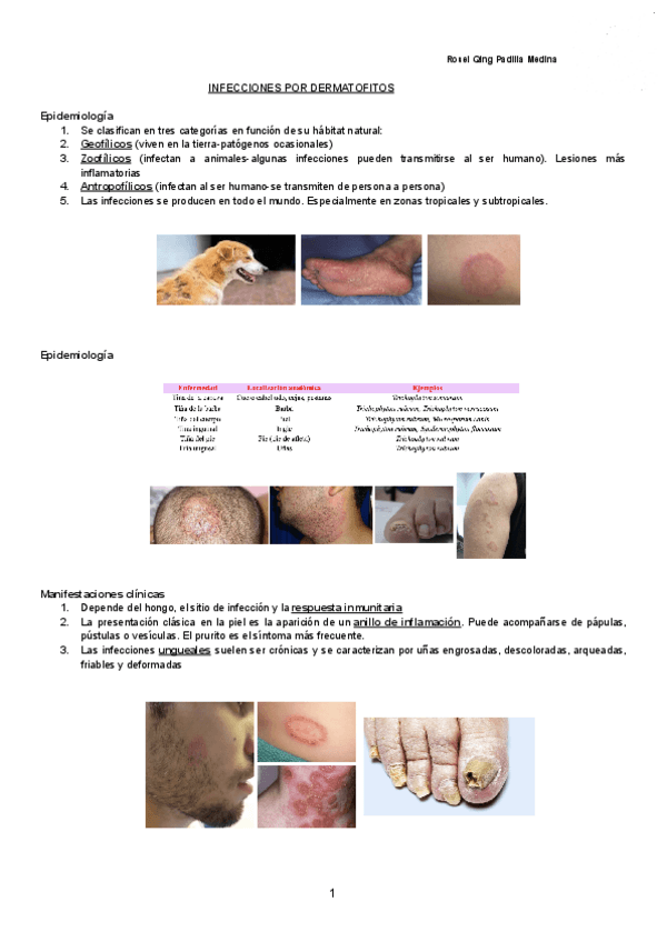 Miniatura del documento INFECCIONES-POR-DERMATOFITOS-Documentos-de-Google.pdf