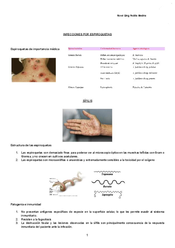 Miniatura del documento INFECCIONES-POR-ESPIROQUETAS-Documentos-de-Google.pdf