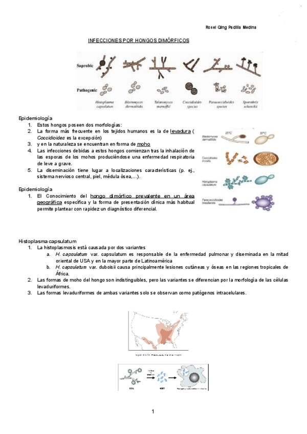 Miniatura del documento INFECCIONES-POR-HONGOS-DIMORFICOS-Documentos-de-Google.pdf