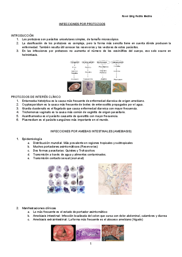 Miniatura del documento INFECCIONES-POR-PROTOZOOS-Documentos-de-Google.pdf