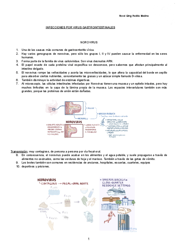 Miniatura del documento INFECCIONES-POR-VIRUS-GASTROINTESTINALES-Documentos-de-Google.pdf