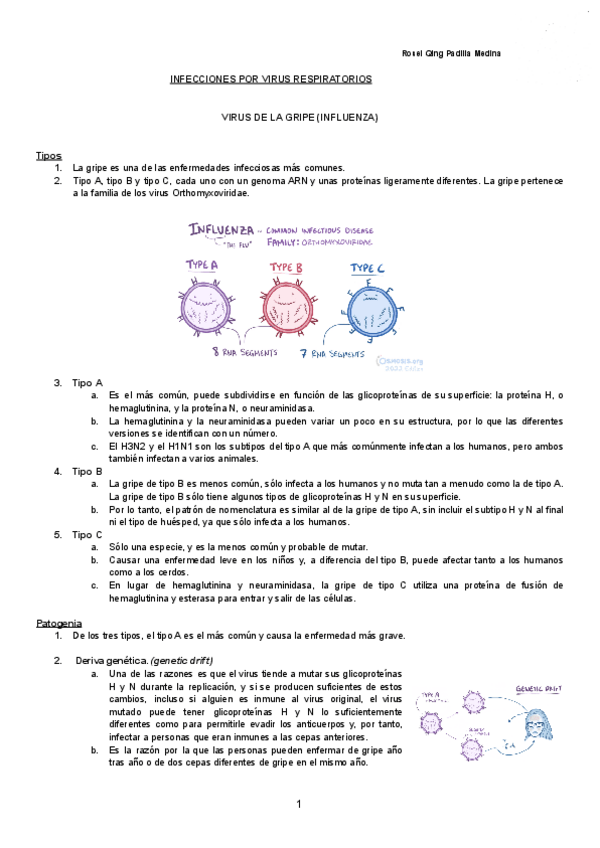 Miniatura del documento INFECCIONES-POR-VIRUS-RESPIRATORIOS-Documentos-de-Google.pdf