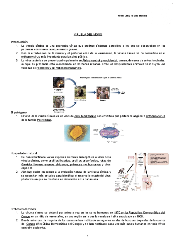 Miniatura del documento VIRUELA-DEL-MONO-Documentos-de-Google.pdf
