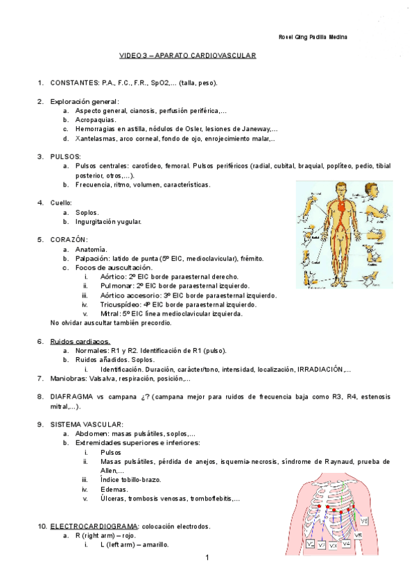 Miniatura del documento VIDEO-3-APARATO-CARDIOVASCULAR-Documentos-de-Google.pdf