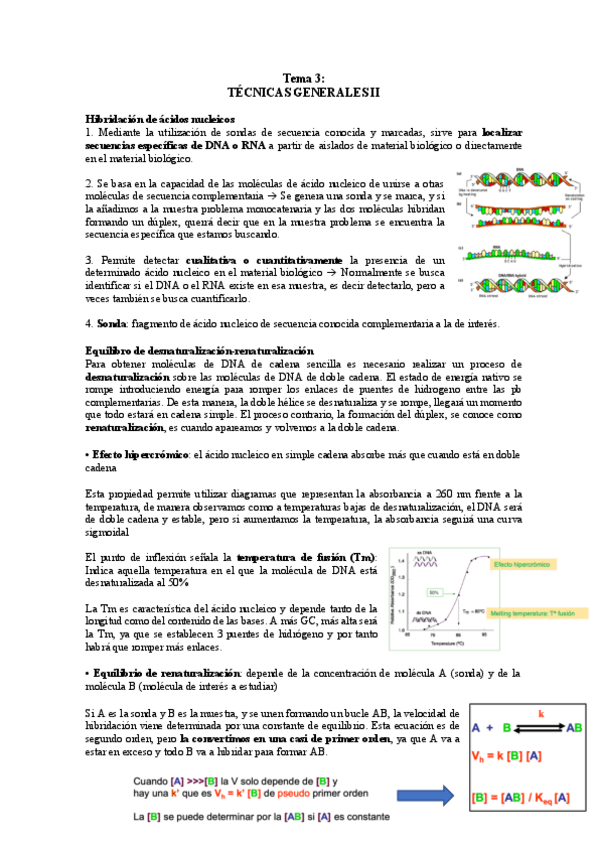Miniatura del documento TEMA-3.pdf