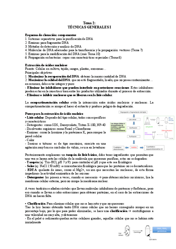 Miniatura del documento TEMA-2.pdf