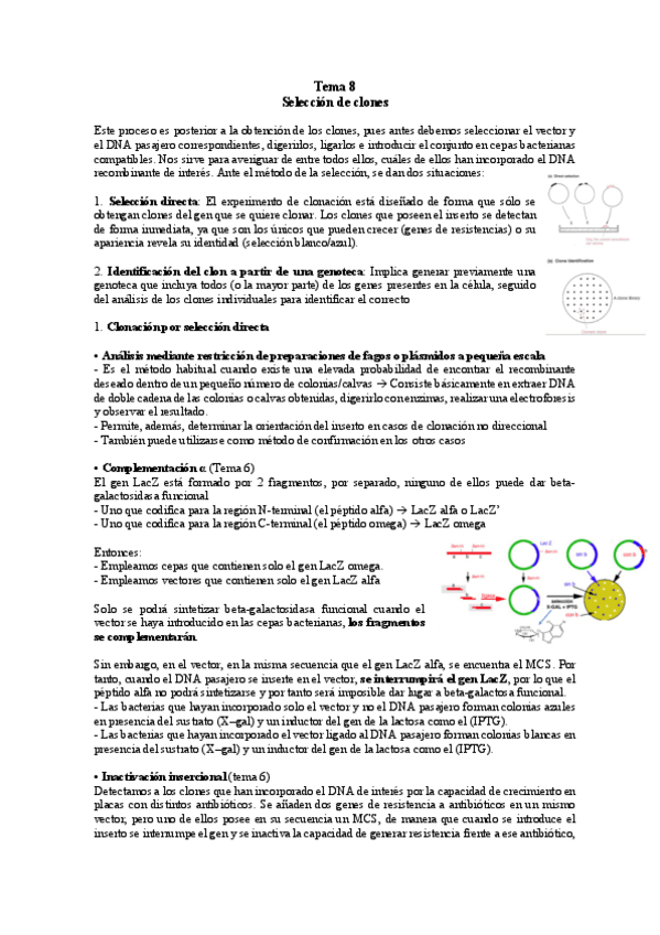 Miniatura del documento TEMA-8.pdf