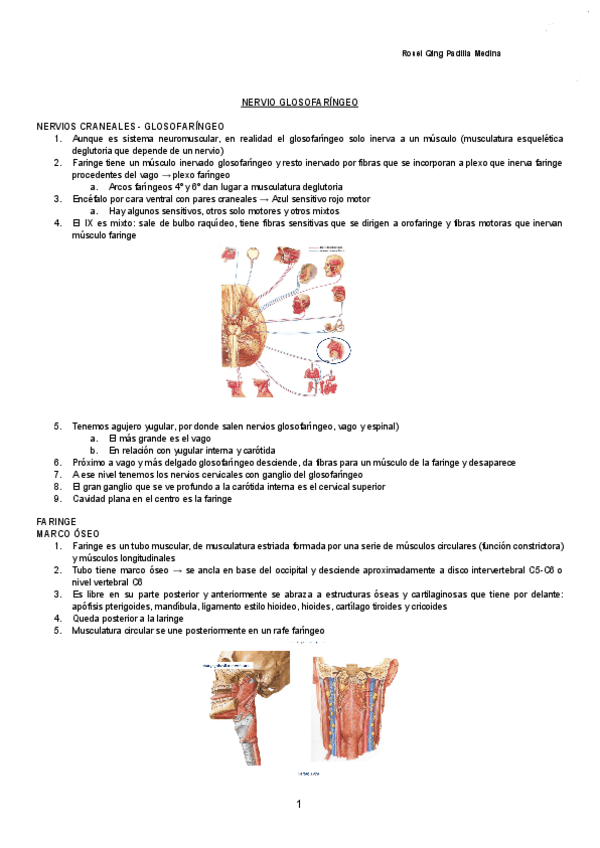 Miniatura del documento NERVIO-GLOSOFARINGEO-Documentos-de-Google.pdf