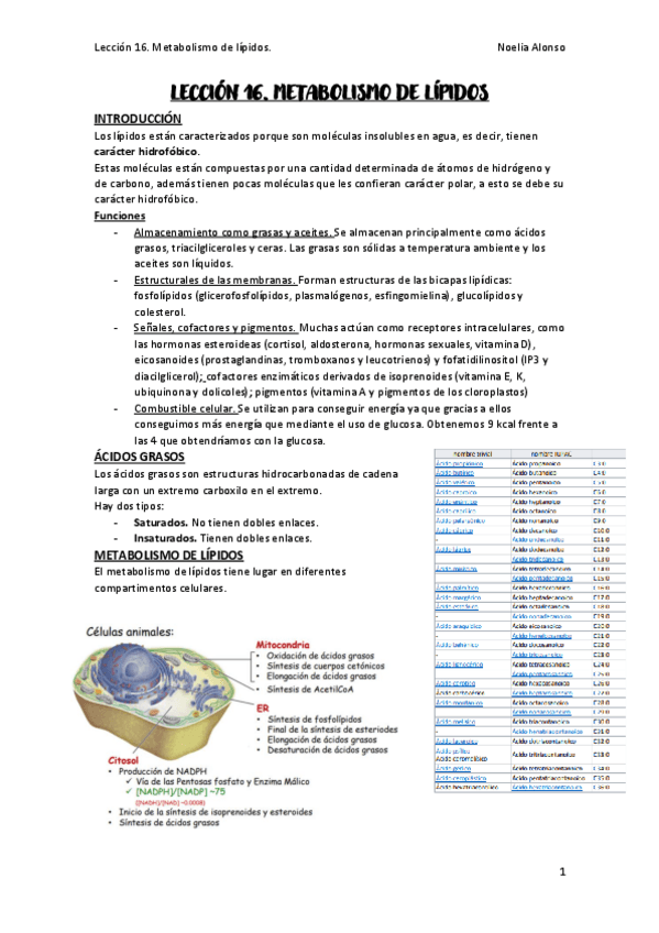 Miniatura del documento Metabolismo-de-lipidos-completo.pdf