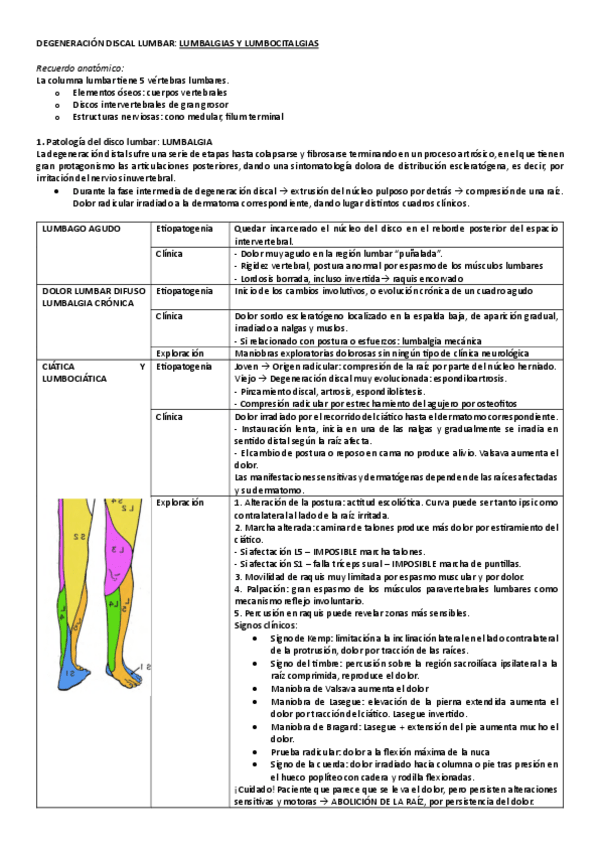 Miniatura del documento SEMINARIO-5A-DEGENERACION-DISCAL-LUMBAR.pdf