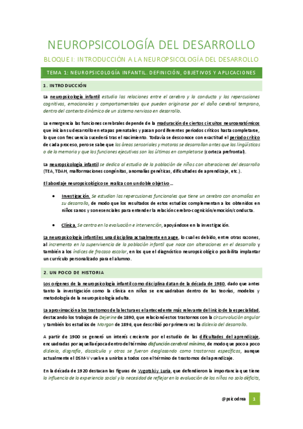 Miniatura del documento ResumenCompletoNeuropsicologíaDelDesarrolloPSICODREA.pdf