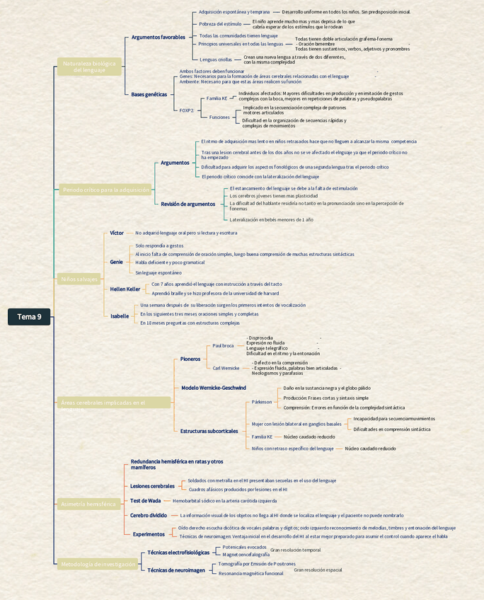 Miniatura del documento Esquema-TEMA-9.pdf
