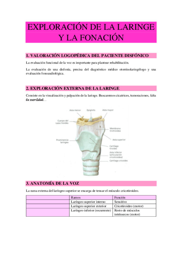 Miniatura del documento T.3-EXPLORACION-DE-LA-LARINGE.pdf