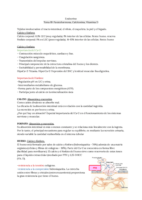 Miniatura del documento Endocrino.-Tema-19.pdf