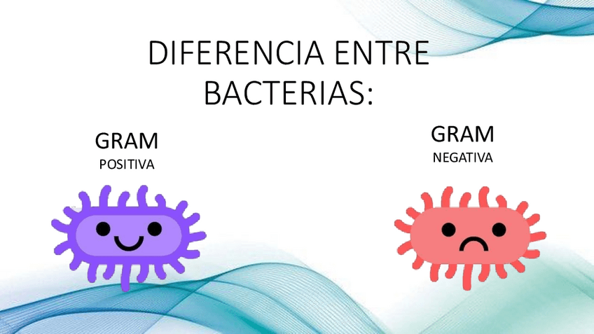 Miniatura del documento DIFERENCIA-ENTRE-BACTERIAS.pdf
