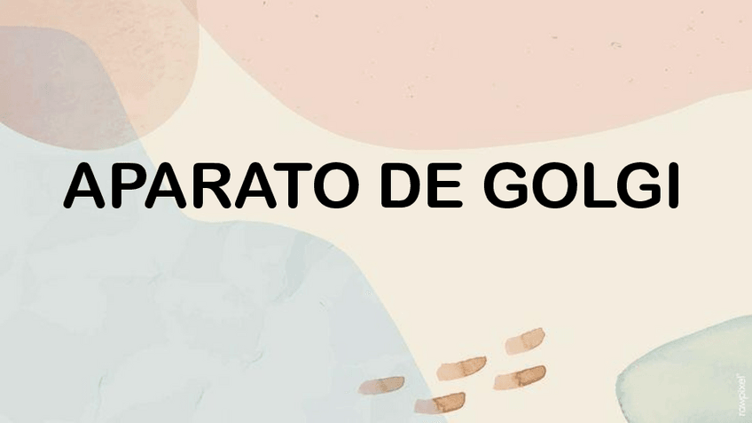 Miniatura del documento El-Aparato-de-golgi.pdf