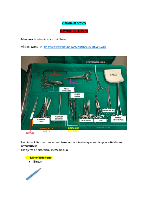 Miniatura del documento PRACTICO-CIRU.pdf