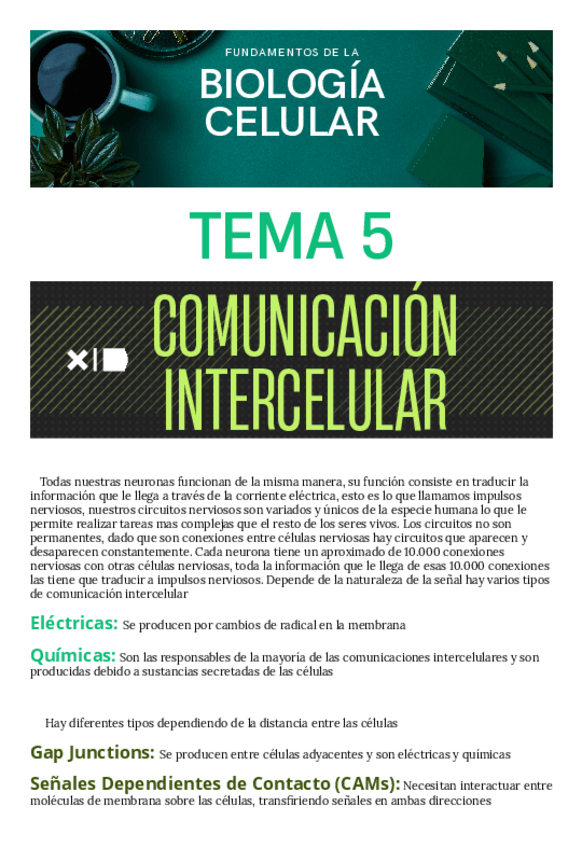 Miniatura del documento Tema-5.pdf