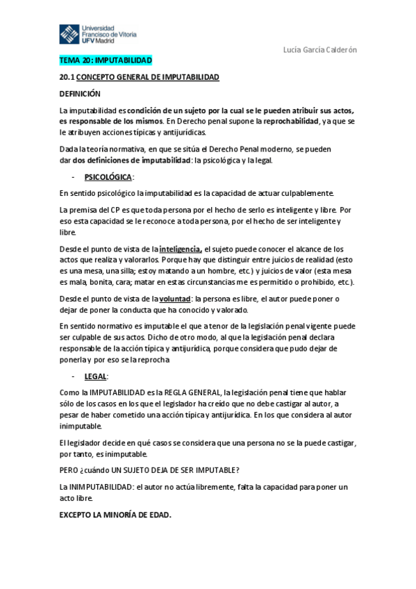 Miniatura del documento TEMA-20-IMPUTABILIDAD.pdf