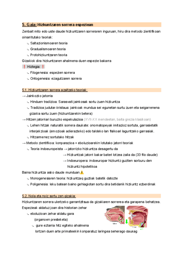 Miniatura del documento 5.-Hizkuntzaren-sorrera-espeziean.pdf