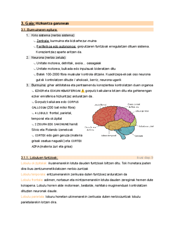 Miniatura del documento 3.-Hizkuntza-garunean.pdf