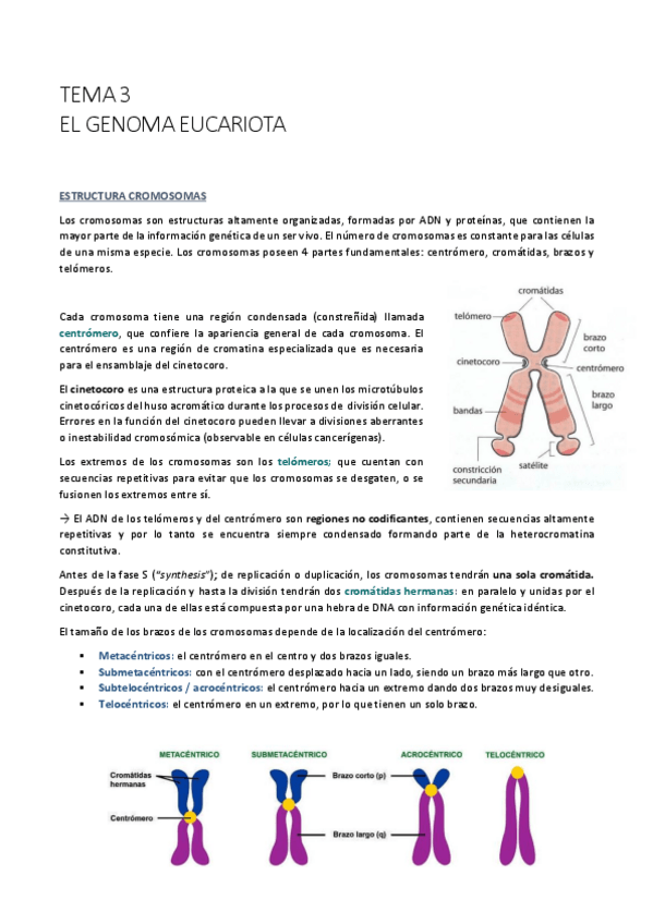 Miniatura del documento TEMA-3.pdf