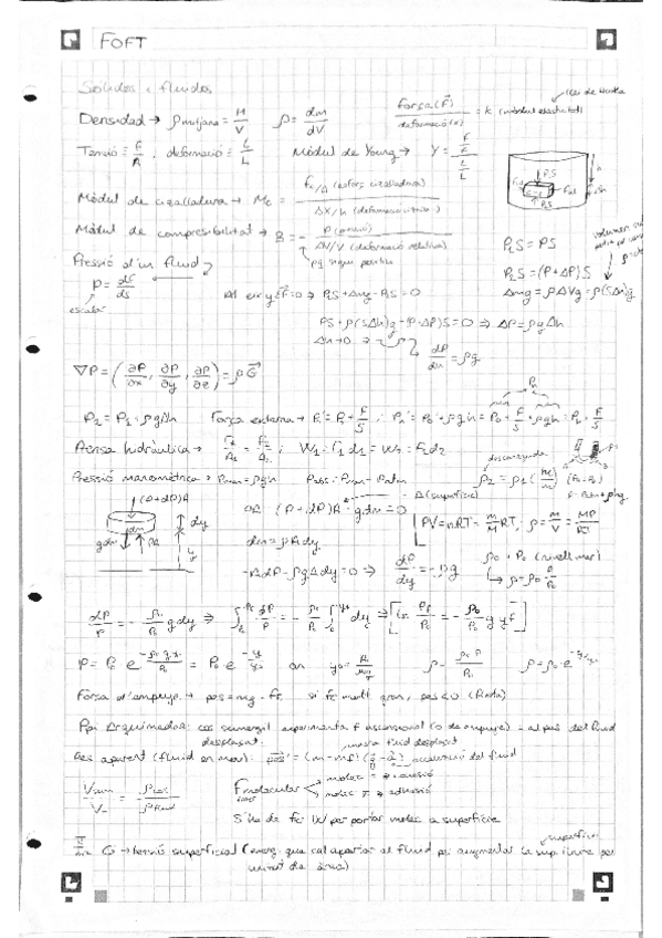 Miniatura del documento Foft-bloc-1.pdf