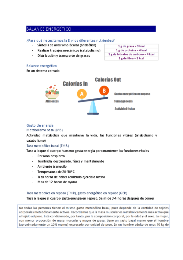 Miniatura del documento BALANCE-ENERGETICO.pdf