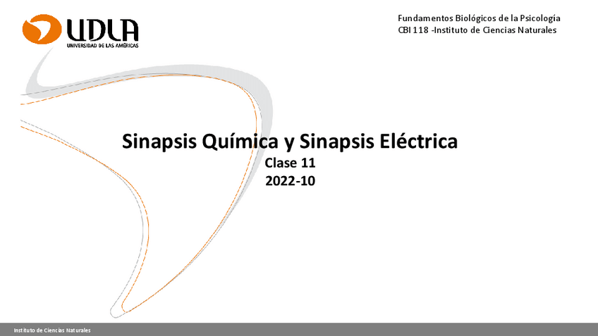 Miniatura del documento Clase-11.-Sinapsis-Quimica-y-Electrica-2022.pdf