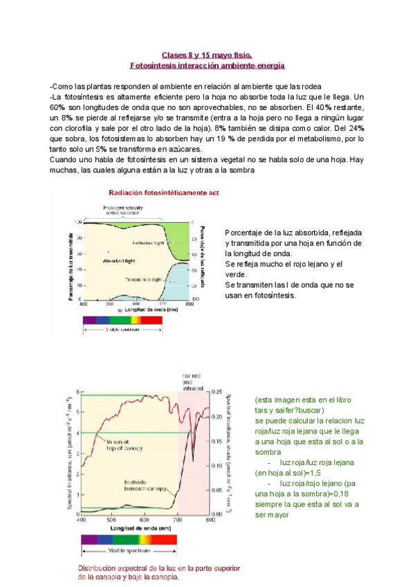 Miniatura del documento Resumen-roxy.pdf