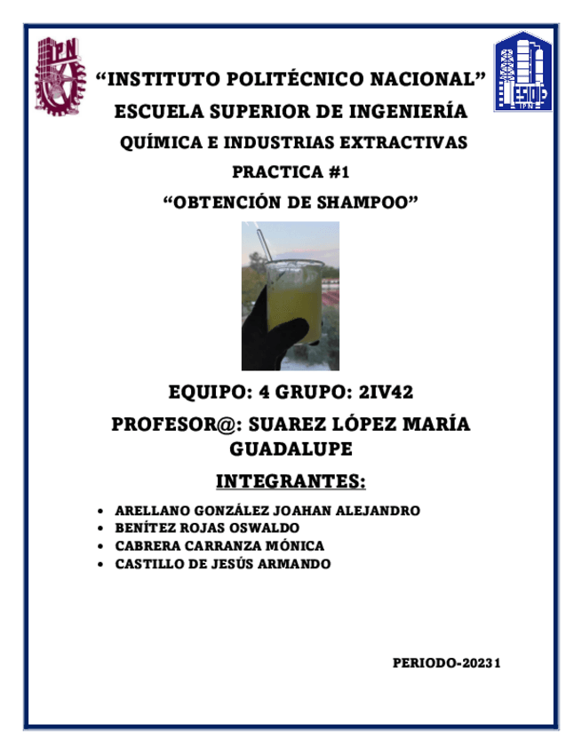 Miniatura del documento OBTENCION-DE-SHAMPOO.pdf