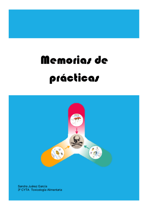 Miniatura del documento Memorias-de-practicasSandraJuarezGarcia..pdf
