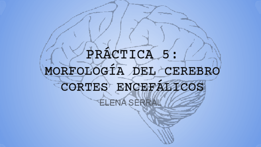 Miniatura del documento PRACTICA-5-GIROS-Y-CIRCUNVOLUCIONES.pdf