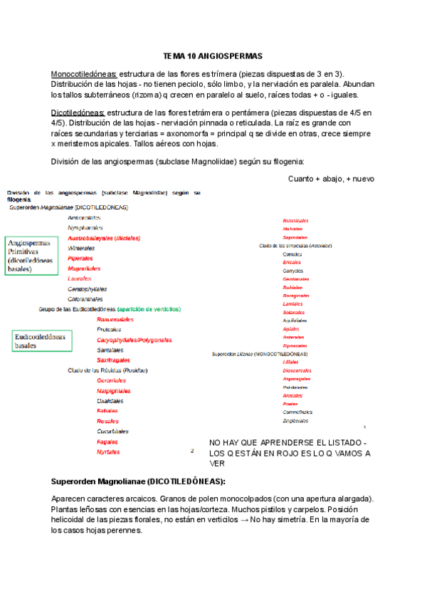 Miniatura del documento Tema-10-Angiospermas.pdf