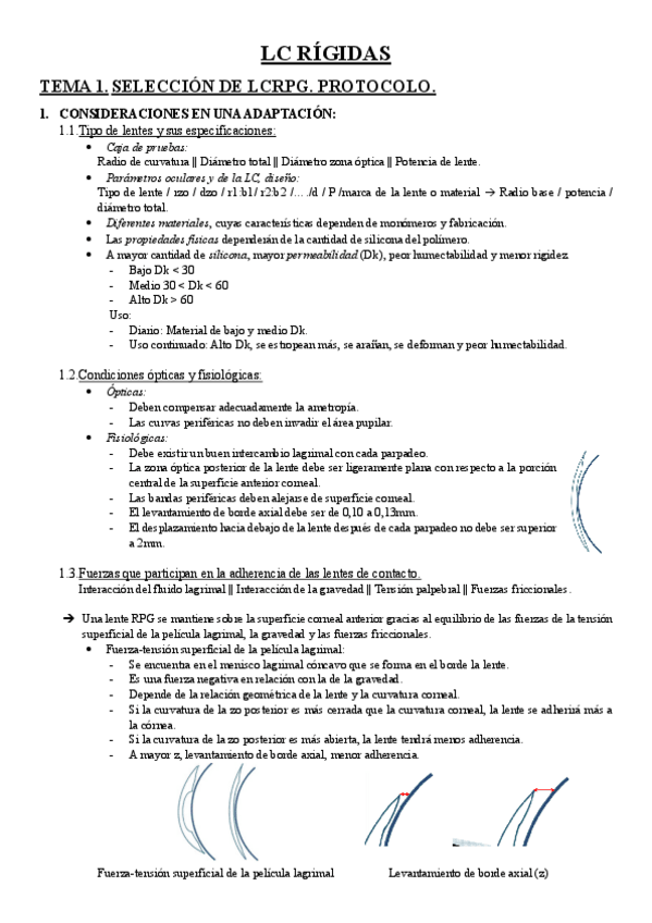 Miniatura del documento LC-RIGIDAS-TEMARIO.pdf