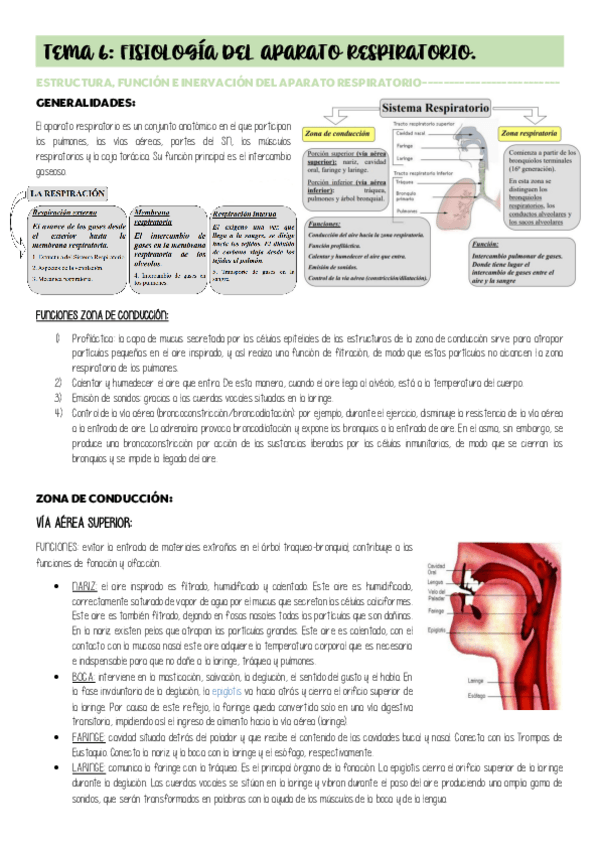 Miniatura del documento TEMA-6.pdf