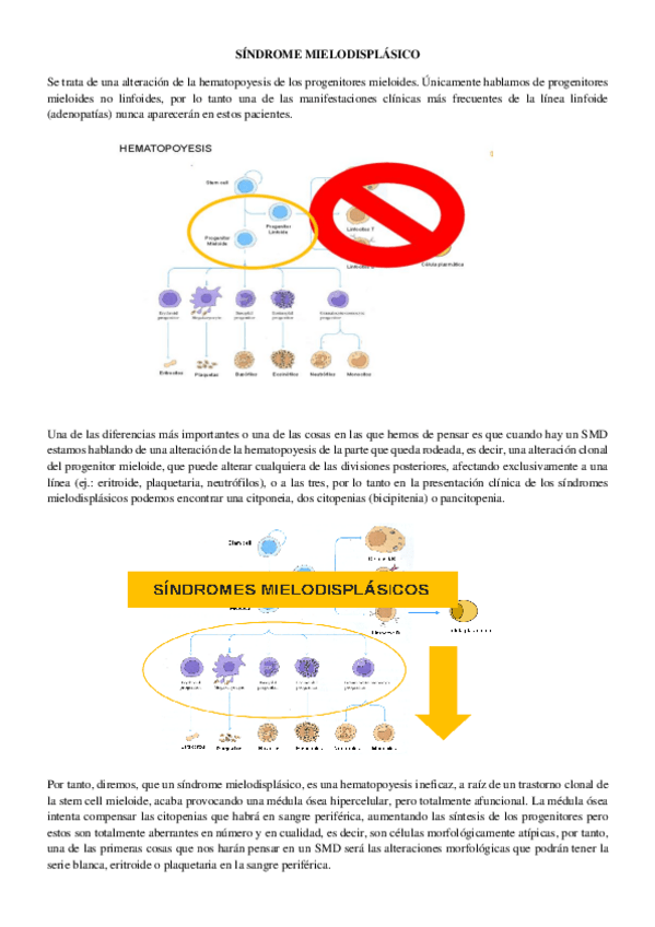 Miniatura del documento SDE-MIELODISPLASICO.pdf