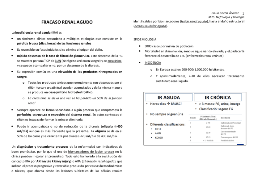 Miniatura del documento FRACASO-RENAL-AGUDO.pdf
