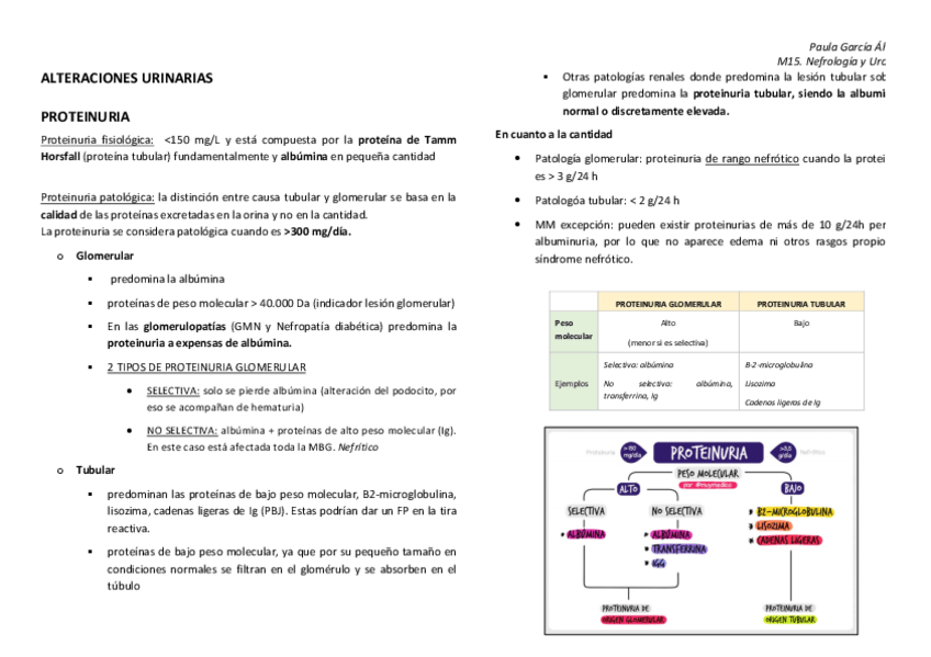 Miniatura del documento PROTEINURIA.pdf