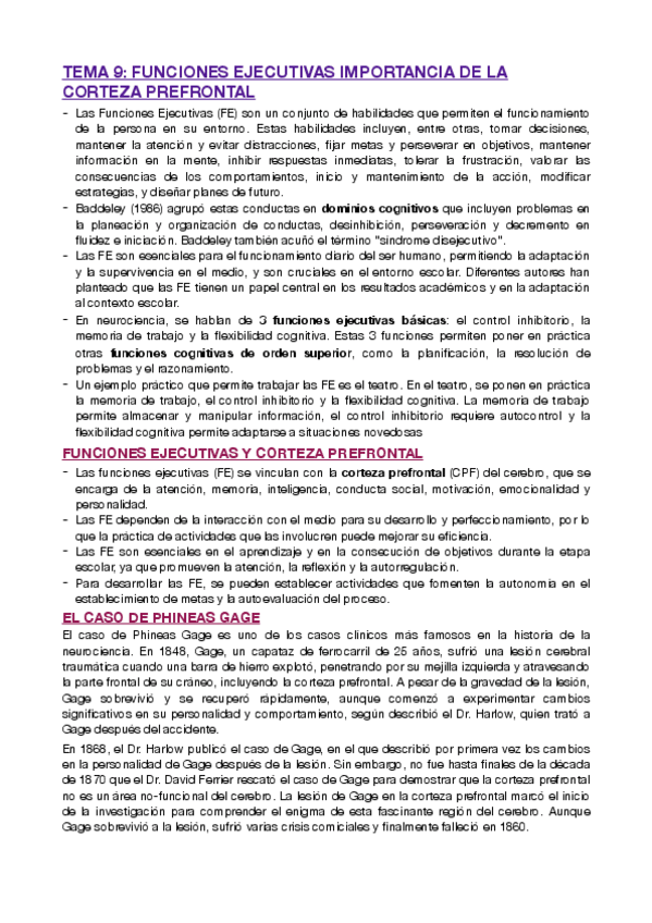 Miniatura del documento T9-FUNCIONES-EJECUTIVAS-IMPORTANCIA-DE-LA-CORTEZA-PREFRONTAL.pdf