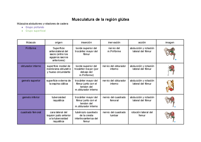 Miniatura del documento Tabla-de-Musculos-extremidad-inferior.pdf