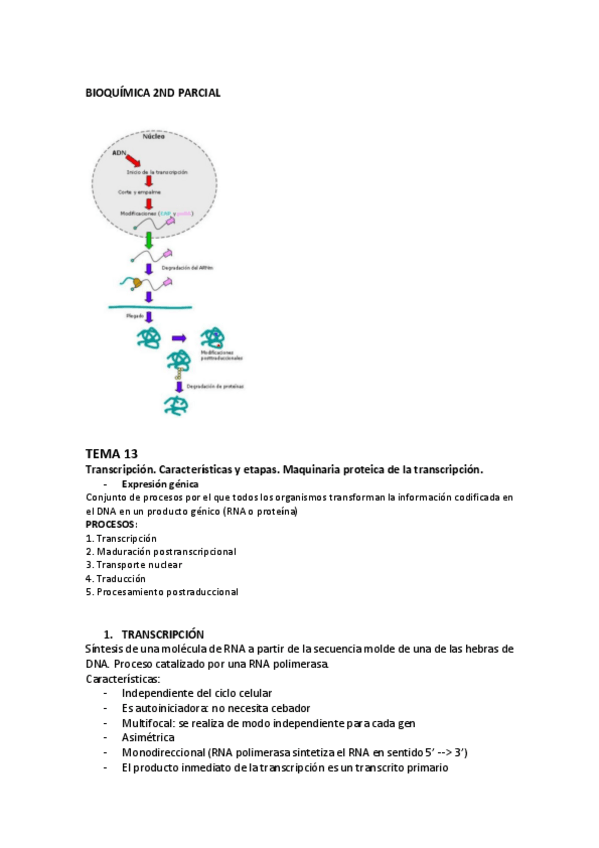 Miniatura del documento 2do-parcial-BIOQUIMICA.pdf